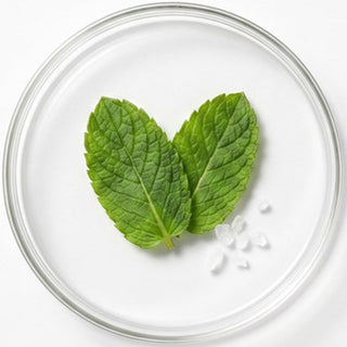 Hojas de menta en una placa de cristal, el mentol de las tiras blanqueadoras modosmile