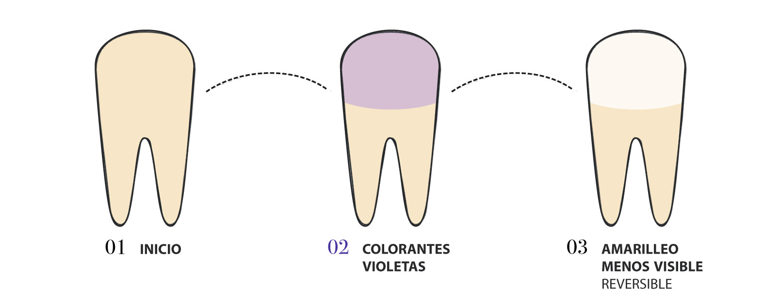 CORRECCIÓN DE COLOR VIOLETA